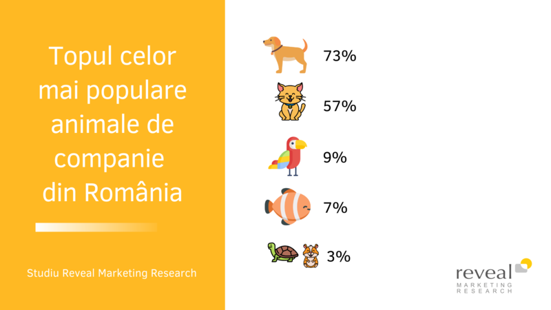 Animale de companie in pandemie: 2 din 10 români declară că și-au cumpărat un animal de companie în starea de urgență (studiu)