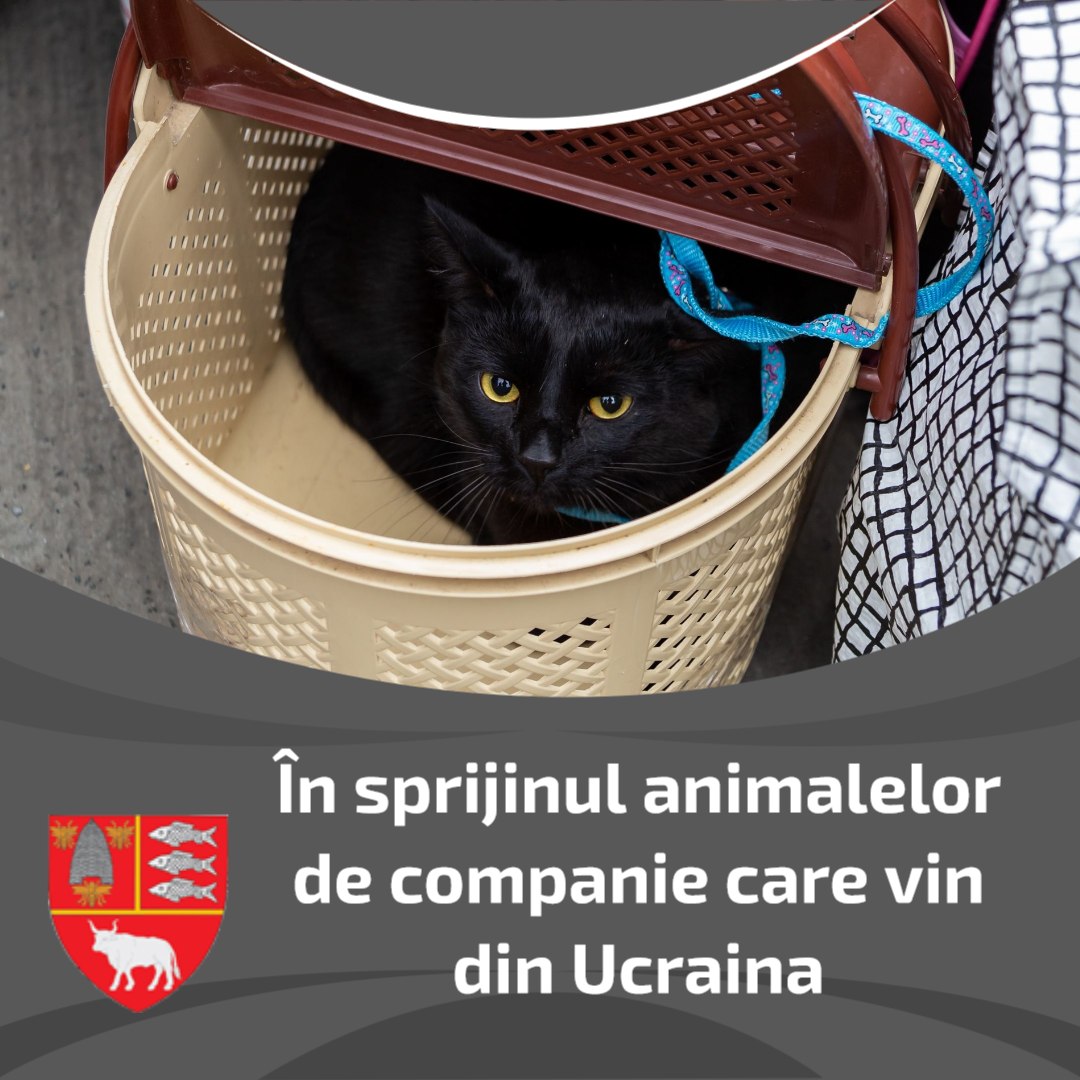 În sprijinul animalelor de companie care vin din Ucraina