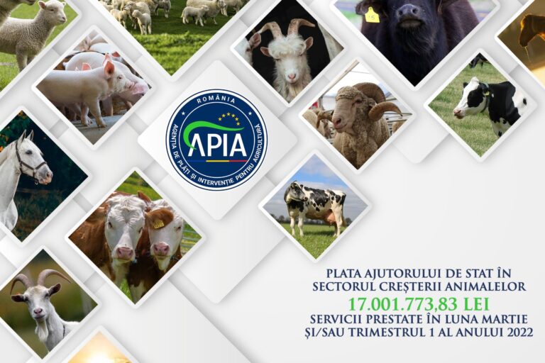 A început plata ajutorului de stat în sectorul creșterii animalelor, solicitat prin cererile de plată aferente serviciilor prestate în luna martie și/sau trimestrul I al anului 2022