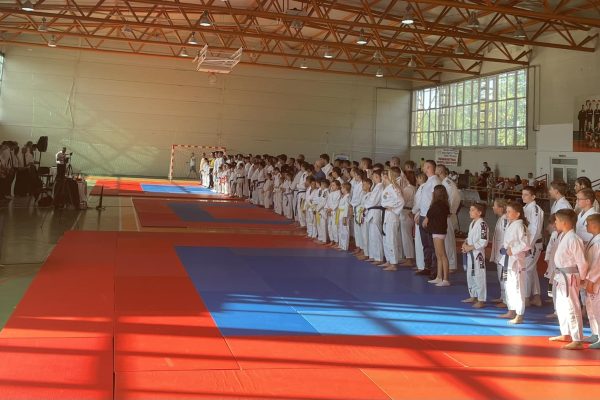 Frații Negrescu din Bârlad se impun la Cupa României la Ju-Jitsu 2023 de la Tecuci