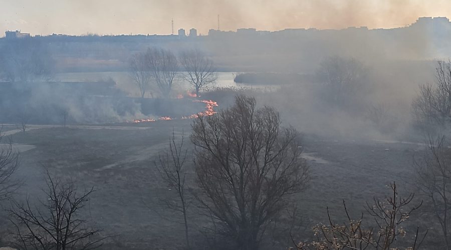 Incendiu de vegetație în Delta Văcărești din Capitală