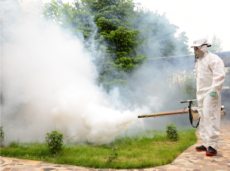 Dezinsecție de amploare