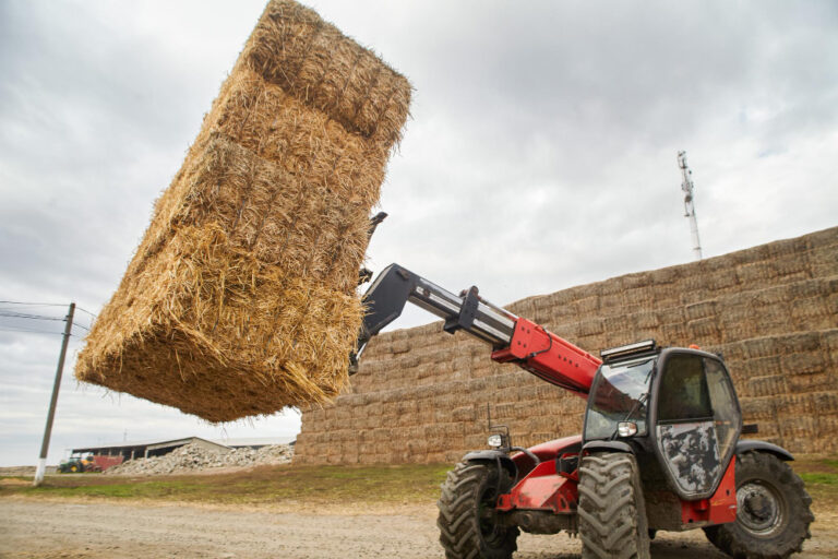 Manitou