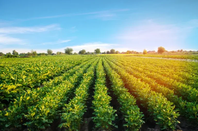 o gură de aer pentru agricultură