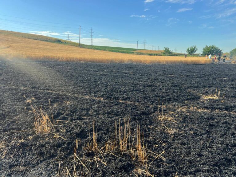 Incendiu de vegetație și lan de grâu în Strâmtura