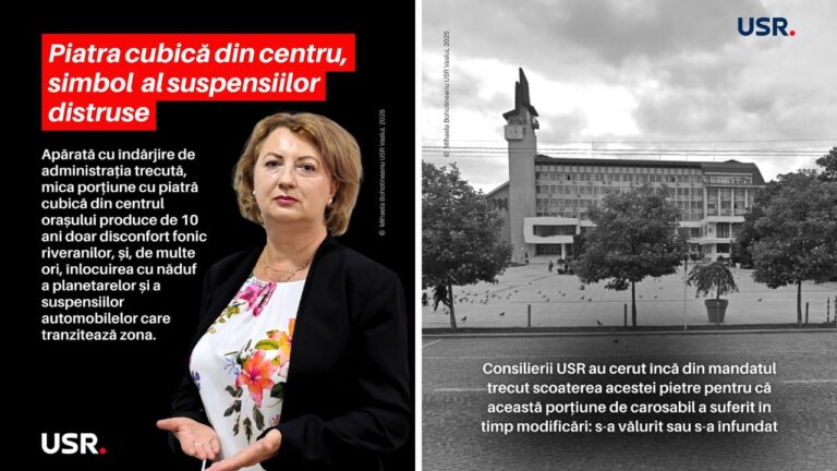Piatra cubică din centrul Vasluiului