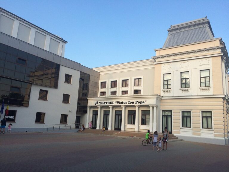 Activitate suspendată la Pavilionul „Marcel Guguianu” și la sala de spectacole a Teatrului „V.I. Popa” din Bârlad, după controlul ISU Vaslui