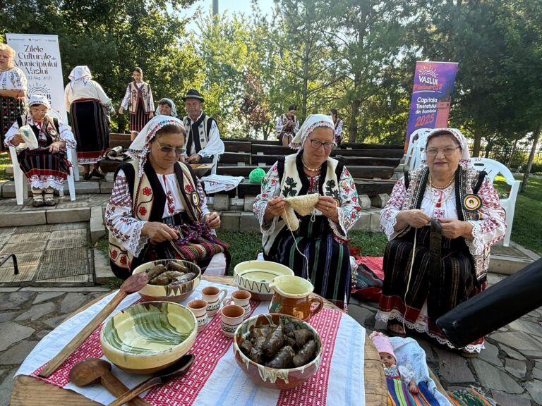 Curțile Domnești din Vaslui