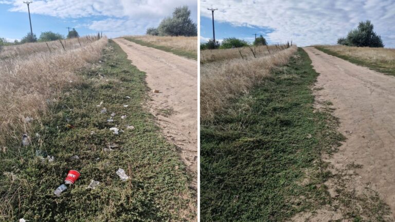 Voluntarii din Vaslui, Bârlad și Huși au demonstrat că natura poate fi salvată prin implicare – acțiune „Let’s Do It, Romania!”