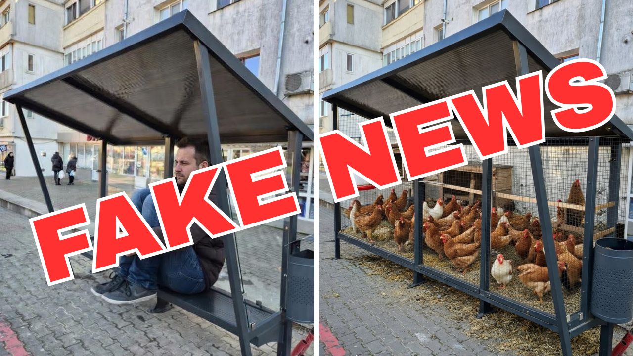 imagine-falsa-vaslui imagine falsă Vaslui