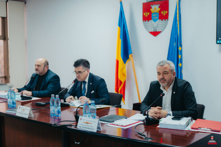 Consiliul Local Vaslui decizii