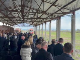 Linia Cantemir-Fălciu