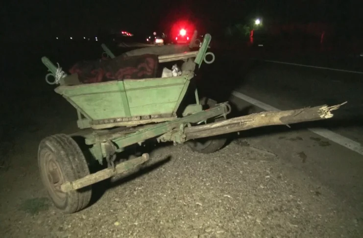accident căruță Vladia